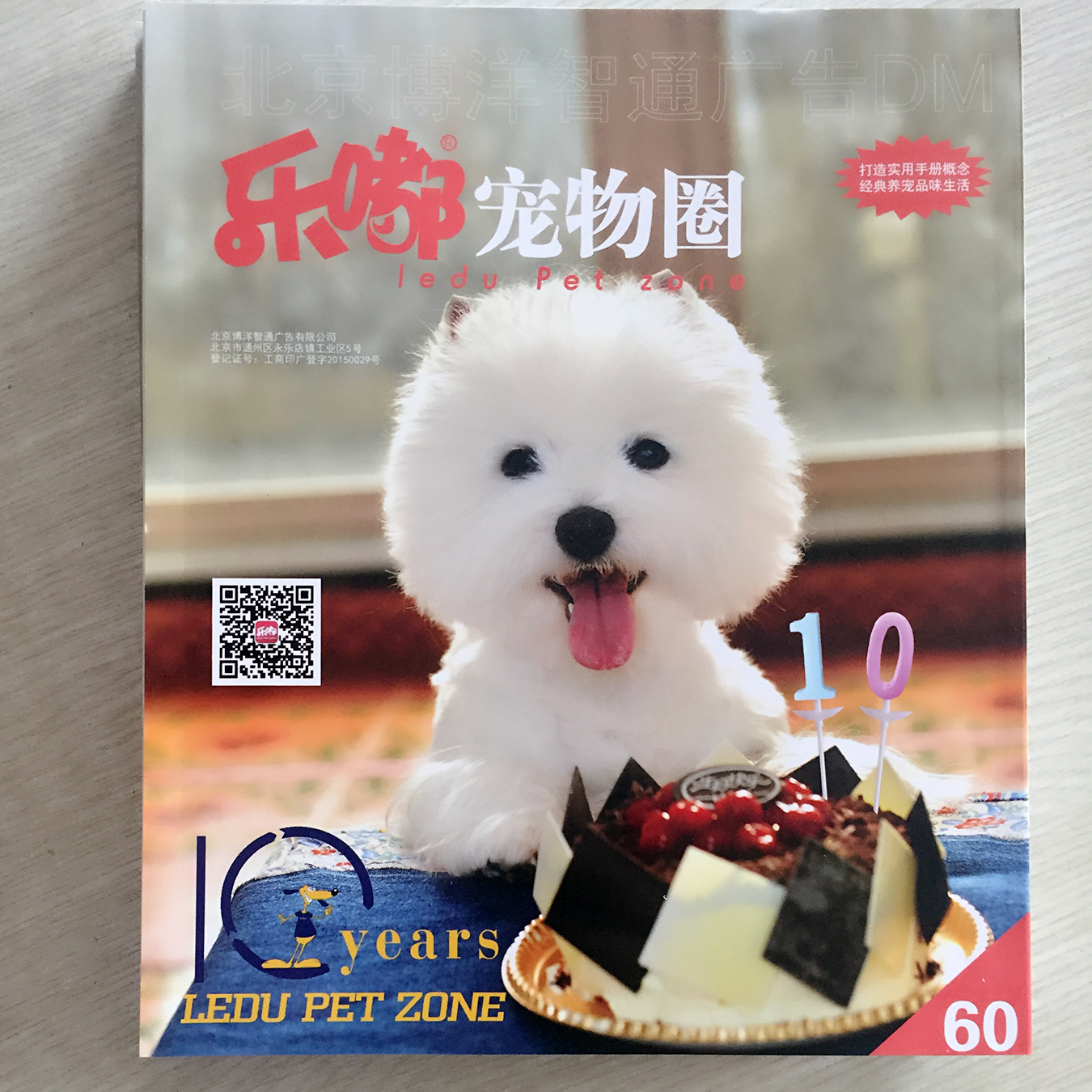 图片示例：2-宠物画册印刷.JPG
